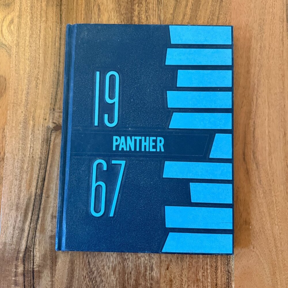 1967 Lakeville High School Yearbook Minnesota MN - Panther - Vintage Mid-Century